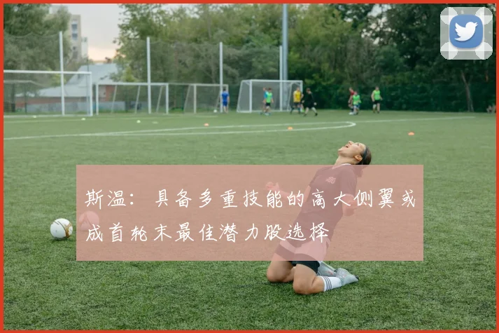 斯温：具备多重技能的高大侧翼或成首轮末最佳潜力股选择