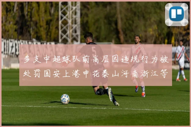 多支中超球队前高层因违规行为被处罚国安上港申花泰山河南浙江等队受影响